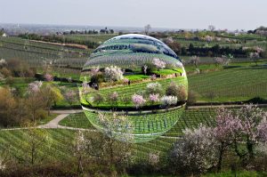 Image Editing; Glass Bubble; Almond Blossom