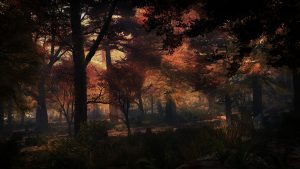 Landscape; Forest; Autumn; Godrays; Evening; Atmosphere