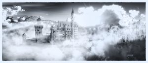Fantasy; Clouds; Neuschwanstein Castle; Fog; Mist; Sea; Water; Egret