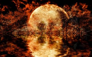 PS CS3 Image Editing; Fantasy; Forest; Night; Fire; Moon; Sea