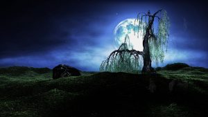 Landscape; Night; Fullmoon; Willow; Owl