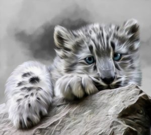 PS CS3 Image Editing; Snowleopard; Smudge; Soft