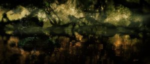 Landscape; DarkArt; Jungle; Anaconda; Water; Mist