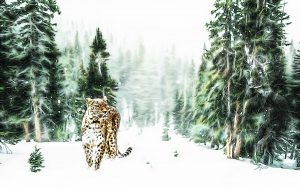 PS CS6 Image Editing; Comic Style; Persian Leopard; Nature; Winter; Snow; Forest