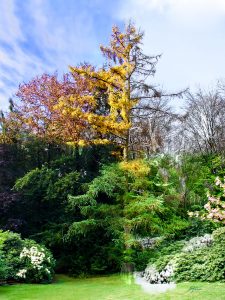 PS CS3 Image Editing; Nature; Tree; Seasons; Winter; Spring; Summer; Autumn