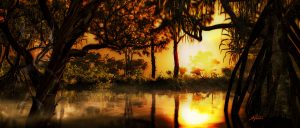 Landscape; Swamp; Water; Forest; Sundown
