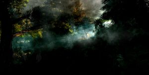 Landscape; DarkArt; Forest; Morning Light; Dust; Mist