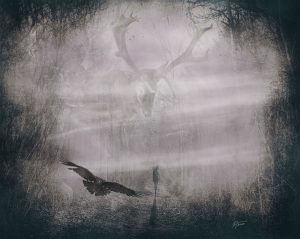 Composing; DarkArt; Forest; Deer; Raven; Fog; Black & White