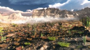 Landscape; Desert; Heat; Dust; Haze; Cactus