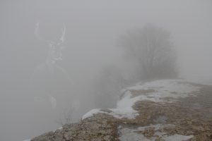 MWD 71; Contest; Cliff in the fog;