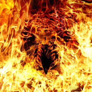 DarkArt; Fire; Flames; Hot; Face; Owl