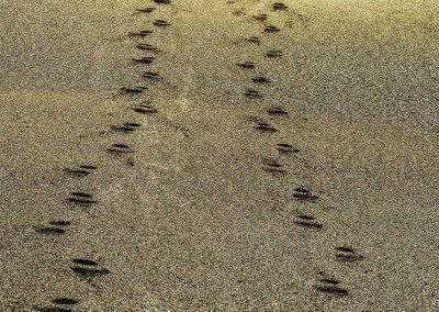 PS CS6 Bildbearbeitung; Footprints; Sand; Beach
