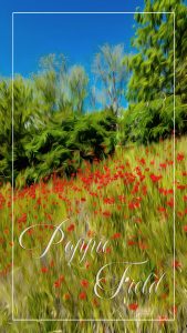 PS CS6 Bildbearbeitung; Landscape; Poppies; Oilpaint