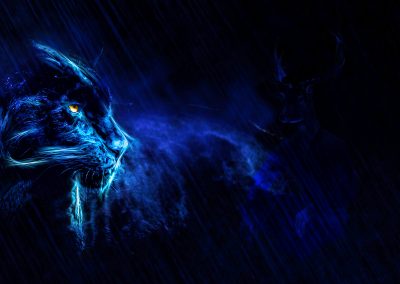 PS CS6 Composing; Black Panther; Night; Rain
