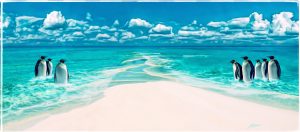 PS CS6 Composing; Maldives; Penguins; Beach; Oilpaint