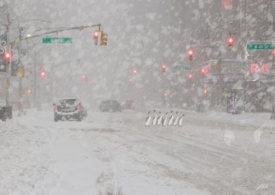 PS CS6 Composing; New York; City; Snow; Blizzard; Penguins; Winter; Traffic