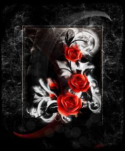 PS CS6 Composing; Red Roses; Texture; Black & White; Red; Bokeh