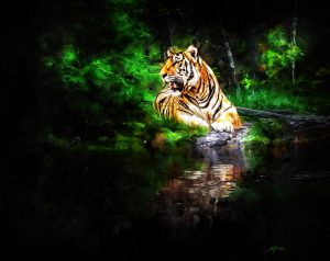 PS CS6 Composing; Tiger; Forest; Water; Reflection; Grunge