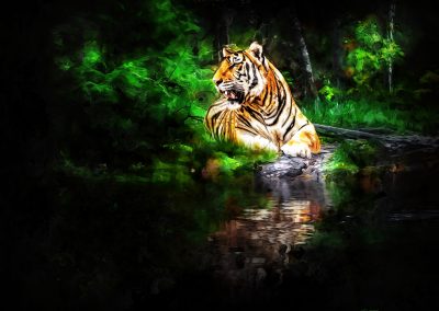 PS CS6 Composing; Tiger; Forest; Water; Reflection; Grunge