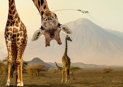 PS CS6 Bildbearbeitung; Landscape; Savanne; Giraffe