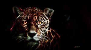 PS CS6 Bildbearbeitung; Panther; Night; Glowing
